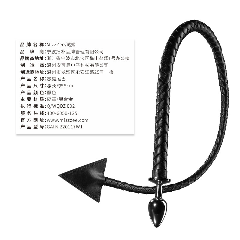 metal plug with whip